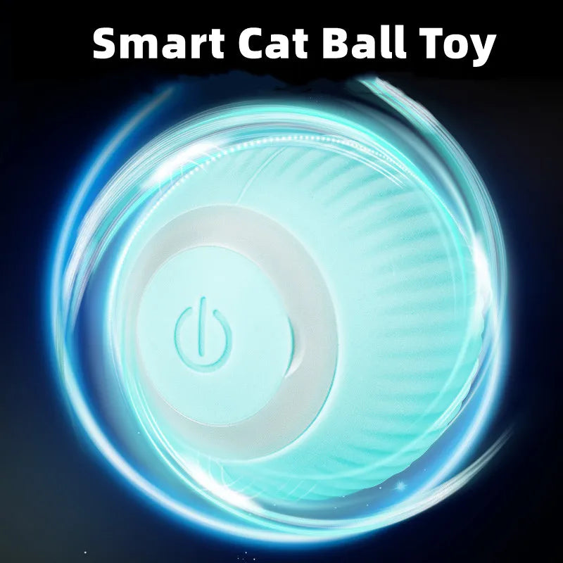 Self-moving Cat Ball